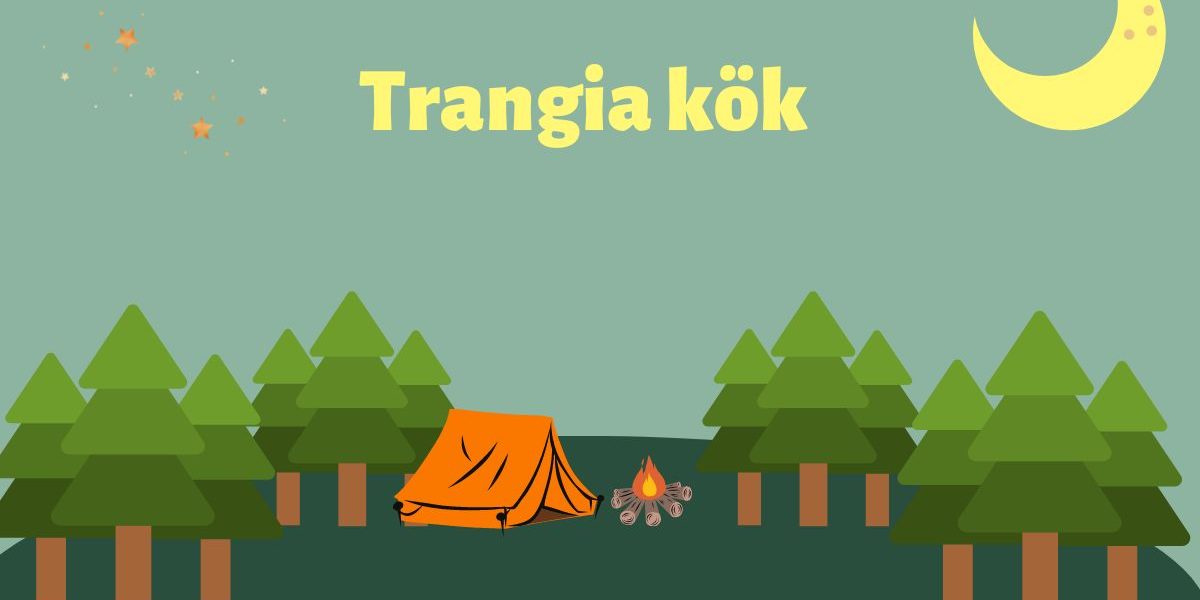 Trangia kök